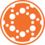 logo společnosti Solid Biosciences
