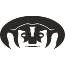 Logo společnosti Badger Infrastructure Solutions