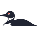 Logo společnosti Johnson Outdoors