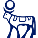 Logo společnosti Novo Nordisk