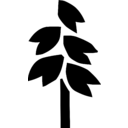 Logo společnosti Oatly