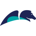 Logo společnosti Pegasystems