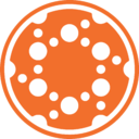 Logo společnosti Solid Biosciences