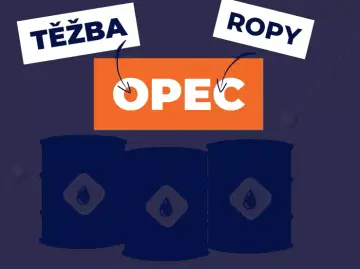 Jak společenství OPEC ovlivňuje cenu ropy