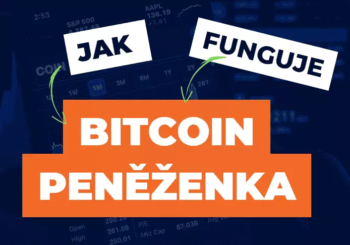 Bitcoin peněženka: Jak to funguje?