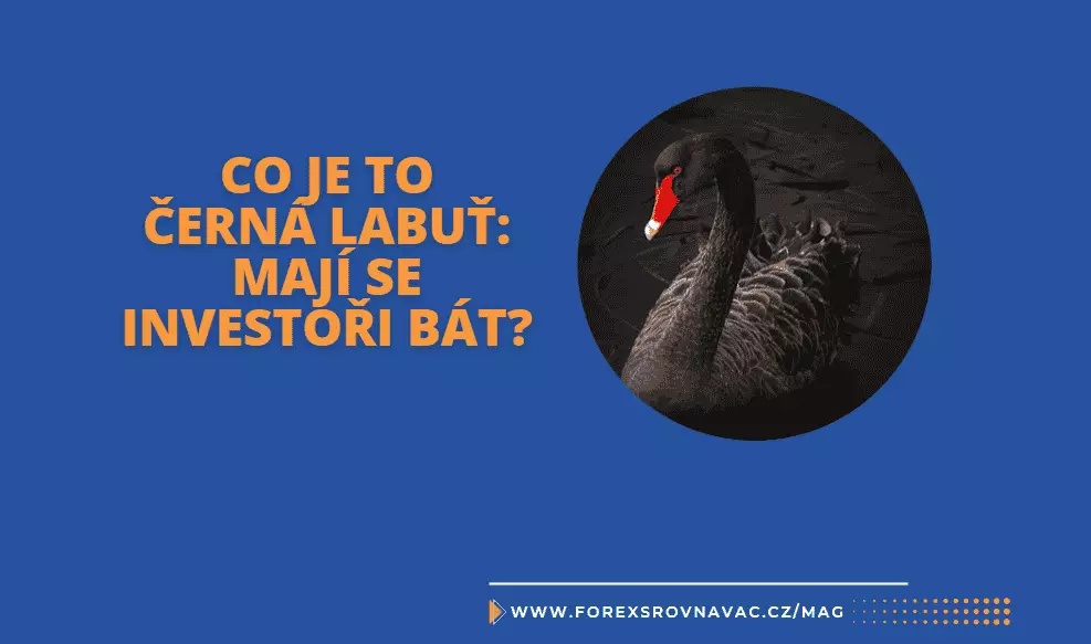 Co je to Černá labuť na trzích: mají se investoři bát?