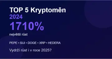 5 nejvíce rostoucích kryptoměn v roce 2024 - Vydrží to i pro rok 2025?