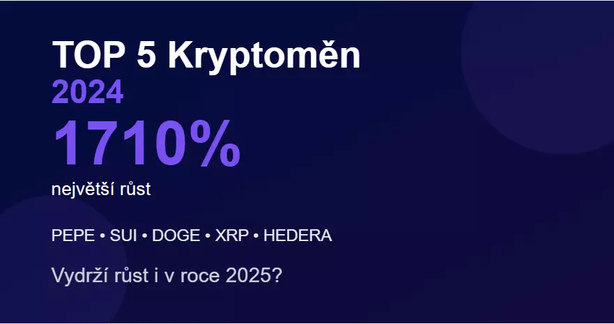 5 nejvíce rostoucích kryptoměn v roce 2024 - Vydrží to i pro rok 2025?
