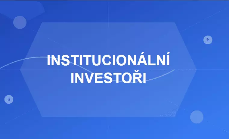 Kdo je a jak se definuje institucionální investor?
