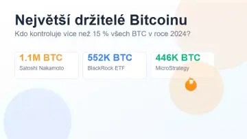 Největší držitelé Bitcoinu na světě - kolik jich vlastní?