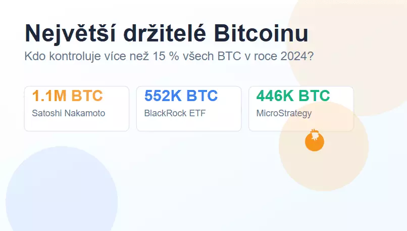 Největší držitelé Bitcoinu na světě - kolik jich vlastní?