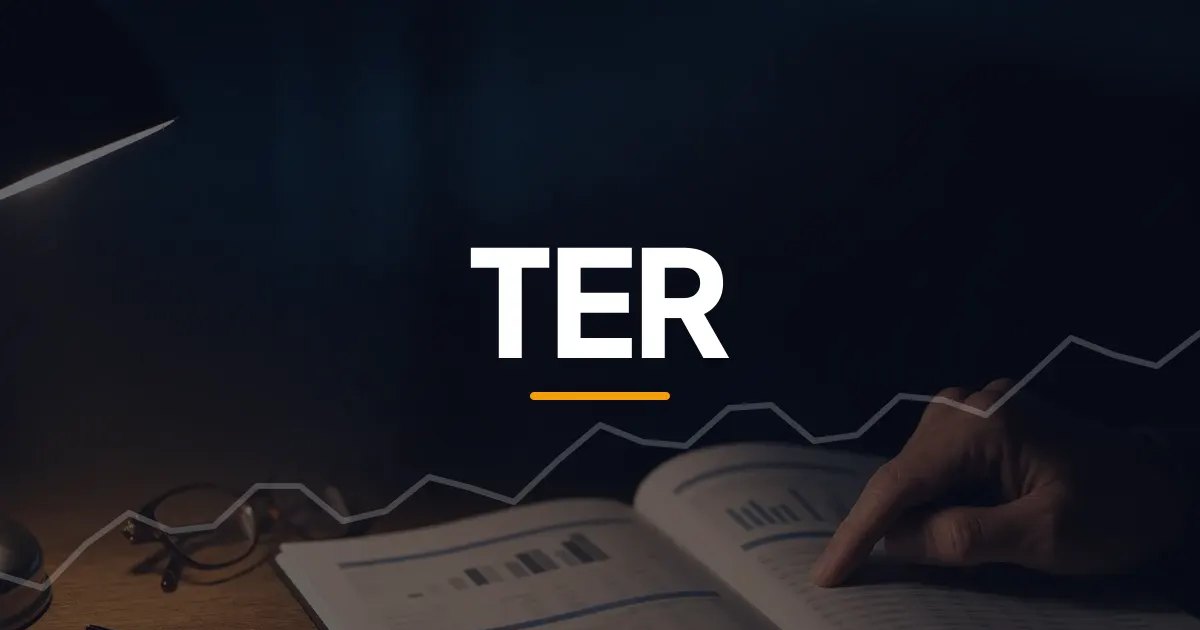 Raport anual tipărit al unui fond, cu un tabel de costuri