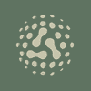 Aki Network (AKI) logo