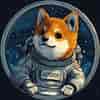 Asteroid Shiba (ASTEROID) logo