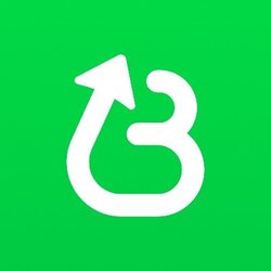 Believe (BELIEVE) logo