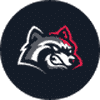 BFG Token (BFG) logo