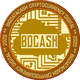 BigdataCash (BDCASH) logo