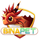 Binapet logo
