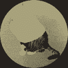 catwifbag (BAG) logo