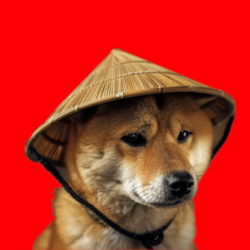 Chinese Doge Wow (CHIDO) logo