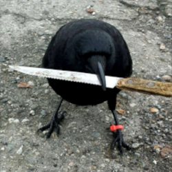 crow with knife (CAW) logo