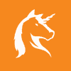 Derby Stars RUN (DSRUN) logo