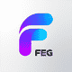 FEG BSC logo