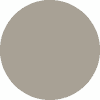 Ginnan The Cat (GINNAN) logo