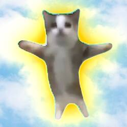 Happy Cat (HAPPY) logo