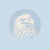 Hawk (HAWK) logo