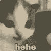 hehe (HEHE) logo