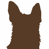 Hund (HUND) logo