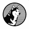 Husky Avax (HUSKY) logo