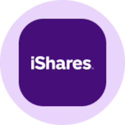 iShares Core S&P 500 ETF (Ondo Tokenized ETF) (IVVON) logo