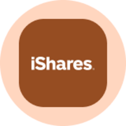 iShares Gold Trust (Ondo Tokenized Stock) (IAUON) logo