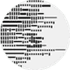 K21 (K21) logo