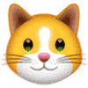 KittenFinance (KIF) logo