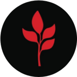 MarsMi (MARSMI) logo