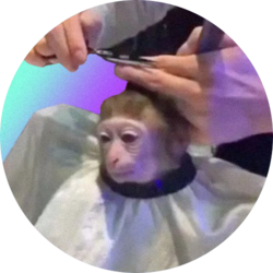 monkeyhaircut (MONK) logo