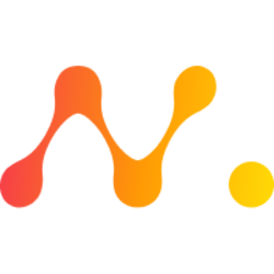 NetMind Token (NMT) logo