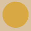 Novem Gold Token (NNN) logo