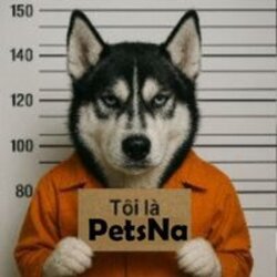 PetsNa ($PETSNA) logo