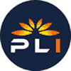 Plugin (PLI) logo