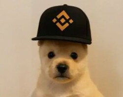 PUP (PUP) logo