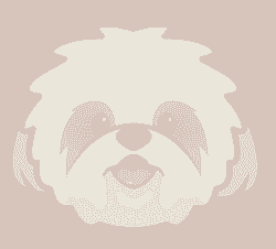 Shih Tzu (SHIH) logo