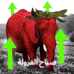 Strawberry Elephant (صباح الفر) logo