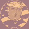 Super Trump (STRUMP) logo
