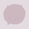 TinHatCat (THC) logo