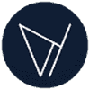 Vision (VSN) logo