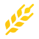 Wheat (BSC) (WHEAT) logo